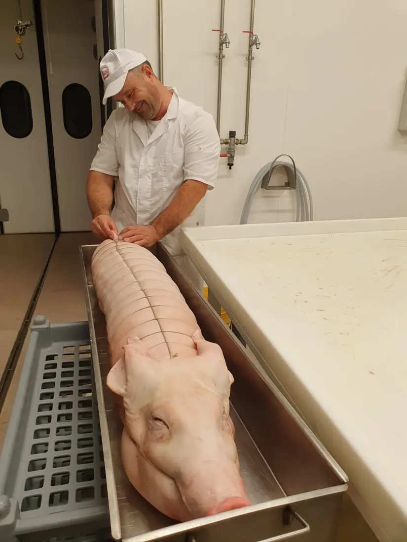 Al lavoro nel laboratorio 3M Macello su un maiale intero